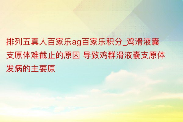 排列五真人百家乐ag百家乐积分_鸡滑液囊支原体难截止的原因 导致鸡群滑液囊支原体发病的主要原
