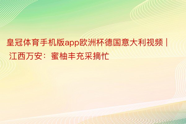 皇冠体育手机版app欧洲杯德国意大利视频 | 江西万安:蜜柚丰充采摘忙